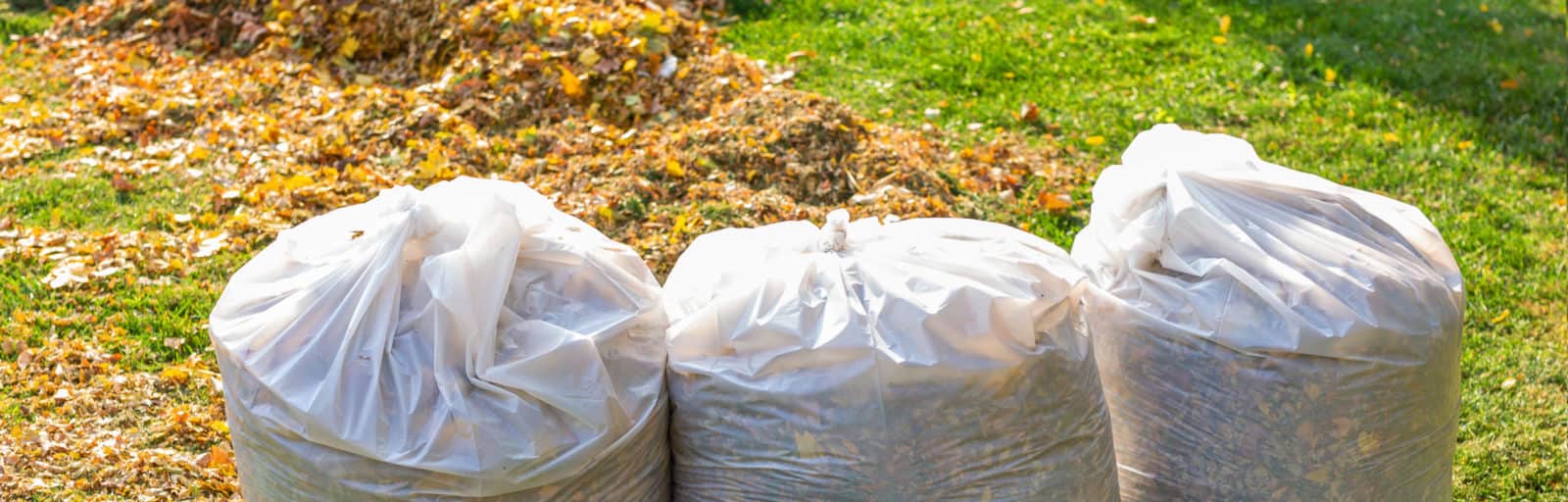 Bags of yard waste in need of yard waste removal services
